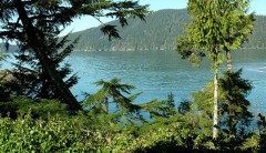 Fish Tales Cottage, Port Renfrew